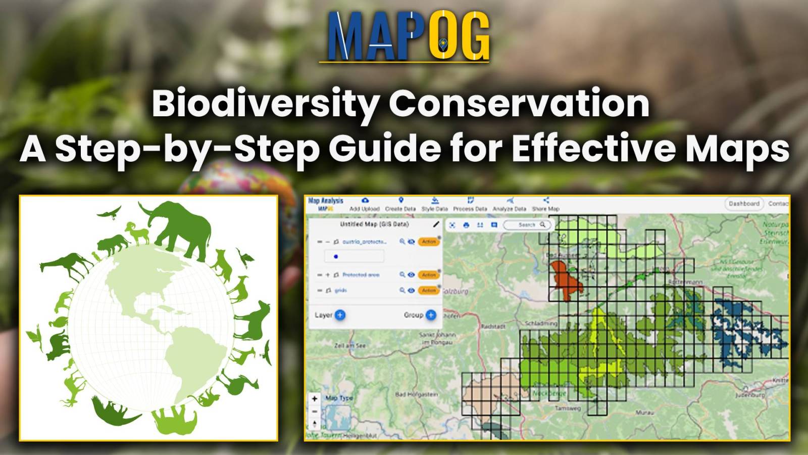 Biodiversity Conservation: Step-by-Step Guide to Clip Polygon for Effective Maps
