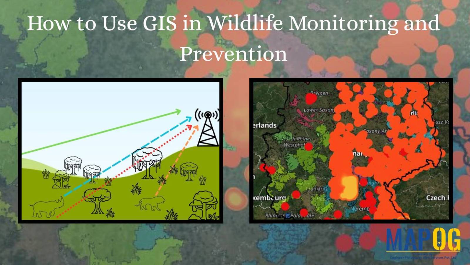 wildlife monitoring and prevention using gis tool