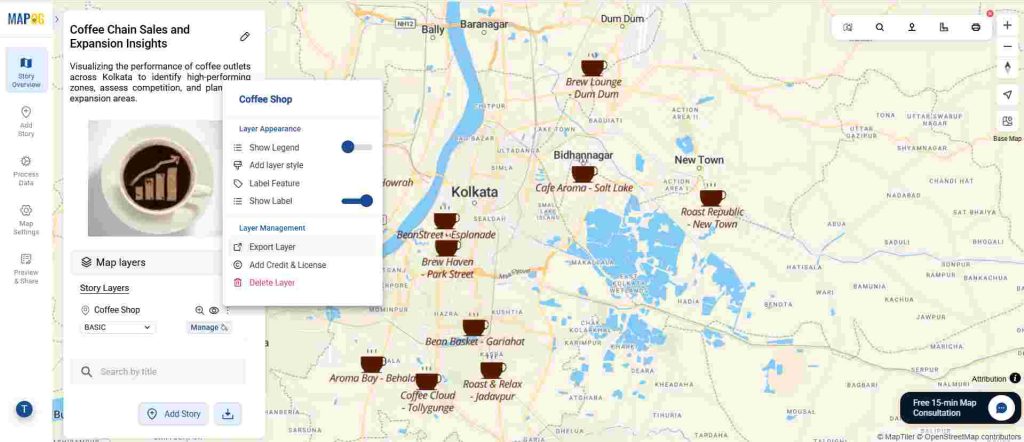 Download Your Mapped Data click on export layer